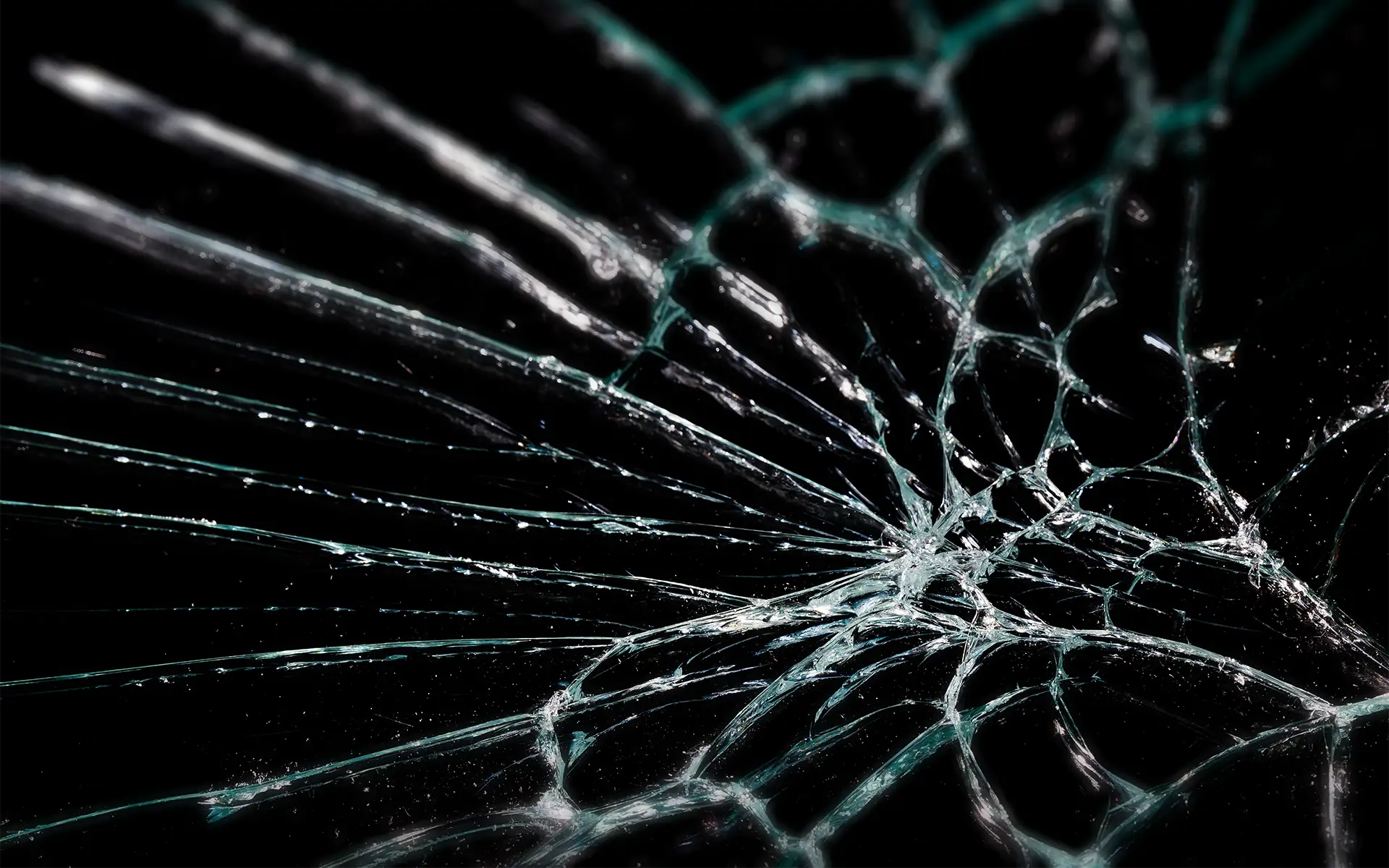 Close-up view of glass shattered during disorderly conduct